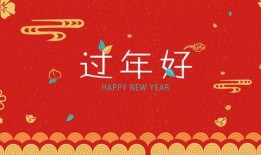 过年好在线观看免费,过年好在线观看攻略