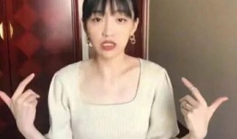 程龙前女友爆料视频大全,揭秘娱乐圈背后的真相