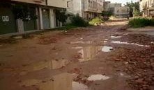 湛江廉江最新爆料,揭秘神秘事件背后的真相