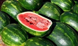 吃瓜最新合集在线观看免费,免费在线观看，揭秘娱乐圈幕后真相