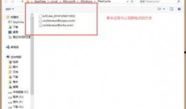 最新高校爆料视频下载网站,最新爆料视频下载网站大盘点