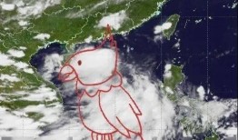 台风鹦鹉最新爆料,最新动态及防范措施全解析”