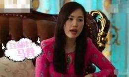 马蓉爆料新闻事件视频,揭秘婚姻背后的真相与争议