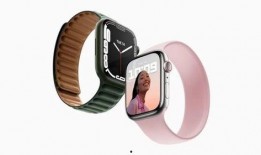 苹果手表最新爆料se,颠覆传统，性价比新标杆