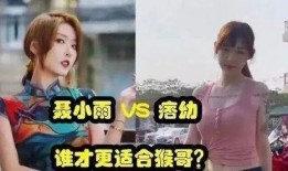 小雅夫妇爆料事件视频在线观看,视频内容揭秘，真相大白