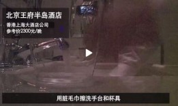 酒店爆料者视频,爆料者视频曝光惊人真相