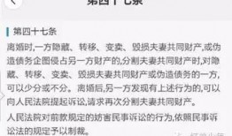 马蓉爆料新闻事件视频,揭秘婚姻背后的真相与争议