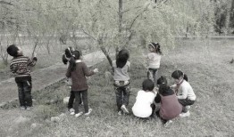 邯郸大树爆料事件始末视频,揭秘真相与争议