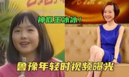 网友爆料王冰冰视频下载,网友揭秘下载过程及注意事项