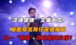 娱乐圈大瓜狗仔爆料又有家暴男,狗仔爆料又一明星家暴事件引发热议