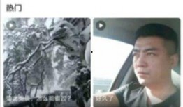 蘑菇爆料视频,揭秘视频背后的惊人真相