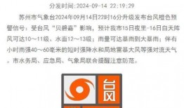 大风新闻爆料最新消息,最新事件进展揭秘