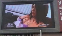 宁波爆料网友投稿视频,揭秘城市角落里的温馨瞬间