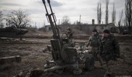 张大炮最新爆料新闻,最新爆料新闻背后的惊人真相