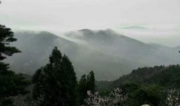 泰安景区爆料事件最新情况,最新进展揭秘，真相大白！