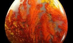 文玩胖子爆料视频大全最新