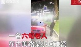 老伯碰瓷爆料视频大全下载,老伯碰瓷爆料视频大全下载解析