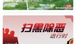 东坑今日爆料新闻视频,揭秘视频背后的惊人真相