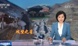 爆料涞源新闻报道最新视频,视频揭露惊人真相