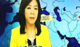 张嘉欣最新爆料新闻,揭秘娱乐圈惊人内幕