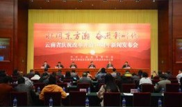 云南新闻爆料,揭秘神秘事件背后的真相