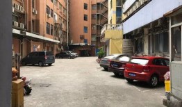 双流步行街爆料视频曝光,揭秘街头繁华背后的故事