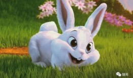 台湾网红小兔子吃瓜事件,揭秘网络舆论的狂欢与反思