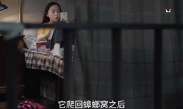 石油小姐姐最新爆料视频