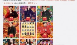 新年福星爆料视频,视频爆料背后的神秘故事