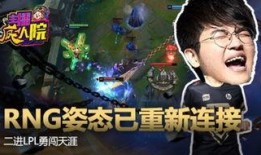 皇家小虎爆料视频大全集,揭秘幕后真相与精彩瞬间