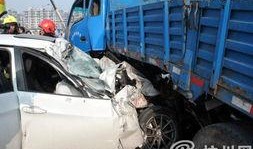 卡车女司机爆料新闻,真相令人震惊！