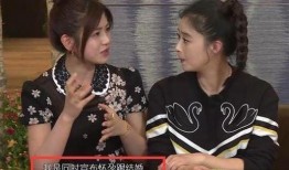 蒋欣爆料导演选妃视频,一场惊心动魄的宫廷争斗