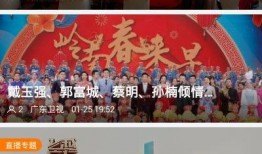 雷州爆料新闻报道视频,视频揭露惊人真相，引发社会关注