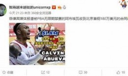 首钢男蓝最新爆料,备战新赛季，备战背后的故事与挑战”