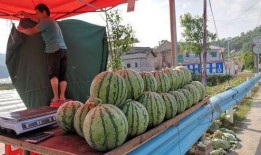 秦安网红吃瓜事件,揭秘网络舆论的风暴与真相