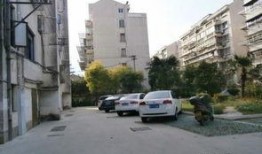 文汇最新爆料消息新闻,最新爆料揭示重大新闻内幕