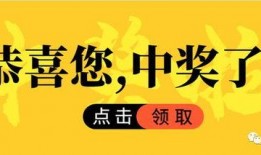 烟台爆料最新热点,聚焦城市热点事件追踪