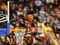 怎么看nba最新爆料,揭秘赛场背后的惊人真相