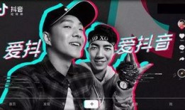 抖音爆料明星家暴视频,明星家庭暴力事件引发社会关注