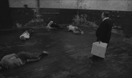 人体蜈蚣在线观看手机,惊悚悬疑，揭秘人体极限的恐怖之旅