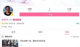 网友爆料王冰冰视频下载,网友揭秘下载过程及注意事项