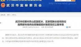 固安翟氏爆料事件最新情况,最新进展与各方动态解析