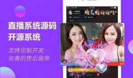 澳门小仙女爆料视频网站,揭秘视频网站幕后故事