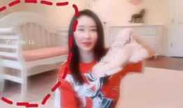 舒畅的爆料视频大全集,揭秘娱乐圈幕后故事