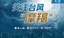 大风新闻爆料最新消息,最新事件进展揭秘