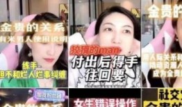 明星偷税爆料视频大全集,明星偷税事件视频大全集深度剖析