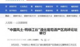 近期网红爆料新闻报道内容,揭秘近期热点新闻背后的惊人真相