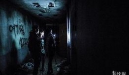 恐怖在线观在线观看,恐怖在线观背后惊心动魄的故事