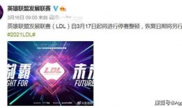 rsg最新爆料,揭秘最新行业动态与热点事件