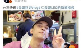 关于吴磊的爆料视频大全,揭秘明星背后的真实生活